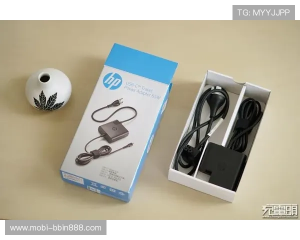 bbin 接口在多平台环境下的兼容性与适配策略详解