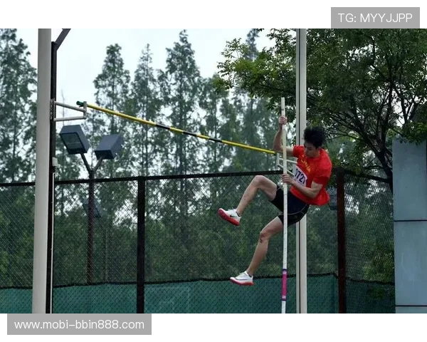 bbin新体育选赛事覆盖范围，全面涵盖国内外热门体育赛事分析