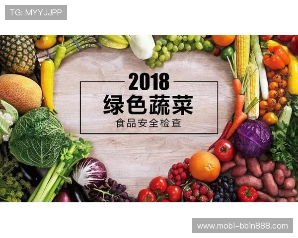 宝盈官网登录入口官方渠道，保障您的账户安全无忧