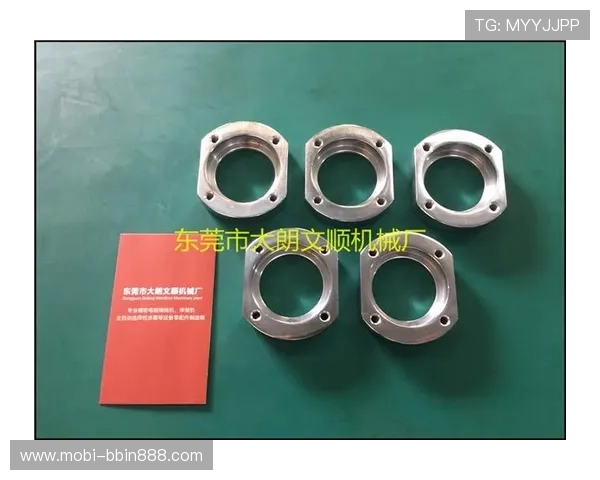 2024年BBIN网址官方入口导航指南帮助玩家快速找到正规登录渠道