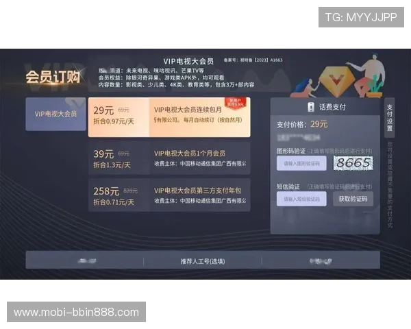 bbin国际视讯VIP会员制度详解享受专属权益的最佳途径